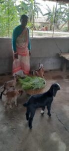 WhatsApp Image 2022-04-17 at 10.44.03 AM