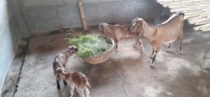 WhatsApp Image 2022-04-17 at 10.44.04 AM (2)