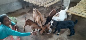 WhatsApp Image 2022-04-17 at 10.46.09 AM