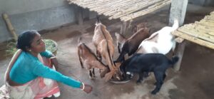 WhatsApp Image 2022-04-17 at 10.46.10 AM (1)