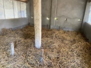 WhatsApp Image 2022-05-01 at 1.38.45 PM