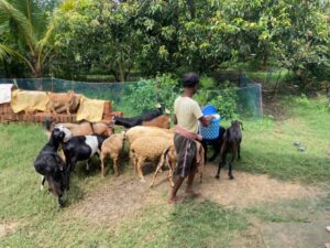 WhatsApp Image 2022-05-01 at 1.41.59 PM (1)